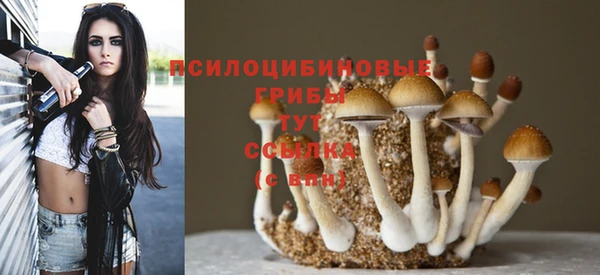 первитин Армянск