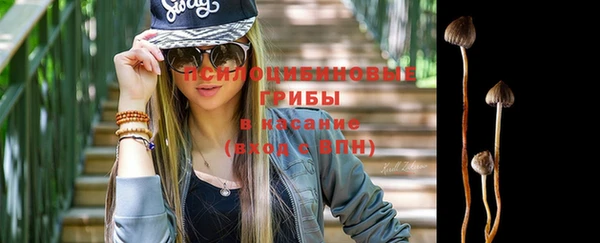 винт Арсеньев